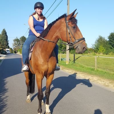 Profile Picture of Lisa Mispelon (@LMispelon) on Twitter