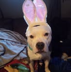 Profile Picture of Diana Butts (@diana.butts.2025) on Facebook