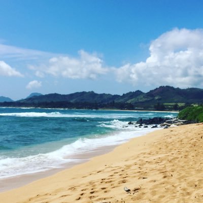 Profile Picture of Robin Freeman (@robinyfreeman) on Twitter