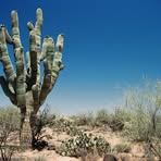 Profile Picture of James Fabins (@jfabins) on Facebook