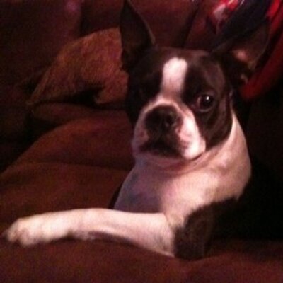 Profile Picture of Thomas Wilburn (@Thomas_Wilburn) on Twitter