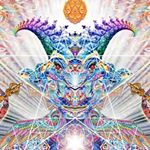 Profile Picture of Daniel Burbach (@6daniel6burbach6) on Instagram