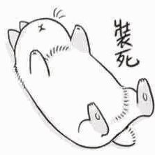 Profile Picture of Ivan_zhao (@Ivanzhao14) on Twitter