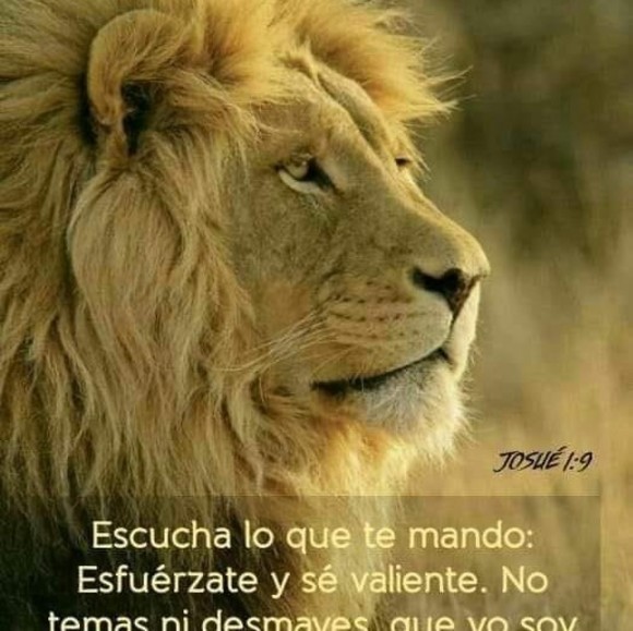 Profile Picture of Aaron Alvarez (@aaaronalvarez) on Poshmark