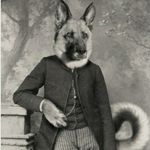 Profile Picture of Aaron Flexer (@avant_disregarde) on Instagram