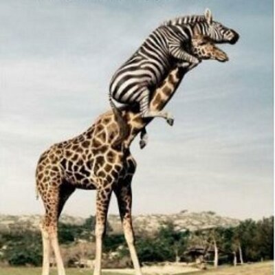 Profile Picture of John Falkowski (@Fajowski) on Twitter
