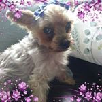 Profile Picture of Janet Angus (@janet.angus.355) on Instagram