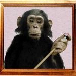 Profile Picture of Chris Bonde (@tcbonde) on Instagram