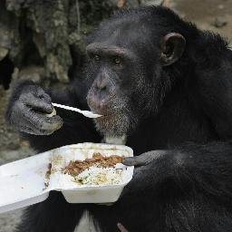 Profile Picture of Joe Ridge (@VBe6q04hx948C7h) on Twitter