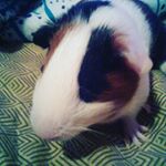 Kimberly Register - Instagram Profile Picture of Kimberly Register (@kregister29) on Instagram