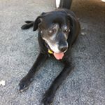 Profile Picture of Jeffery Halbert (@jeff.hal) on Instagram