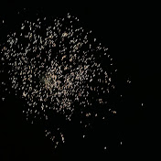 Profile Picture of William Schulz (@williamschulz93) on Youtube