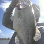 Profile Picture of Bobby Swain (@razorbass33) on Instagram