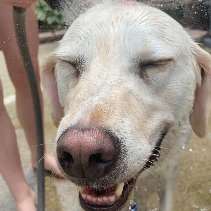 Profile Picture of my spam🤍 (@paytons.help) on Tiktok