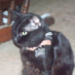 Profile Picture of Chip Trefz (@tater.trefz) on Myspace