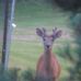 Profile Picture of Nancy Pritchett (@nancy.pritchett.37) on Facebook