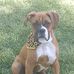 Profile Picture of Darrell Worley (@darrell.worley.982) on Facebook