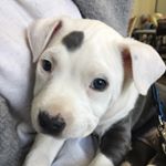 Profile Picture of Brooklyn in Brooklyn (@brooklyninbk) on Instagram