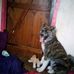 Profile Picture of Jonathan Towers (@jonathan.towers.7792) on Facebook