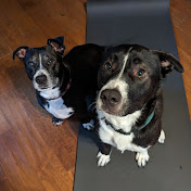 Profile Picture of Andrew Geyer (@us984984) on Youtube