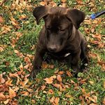 Profile Picture of Gary Hann III (@gary_hann) on Instagram