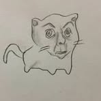 Profile Picture of Ayden Grub (@Ayden-Grub) on Facebook