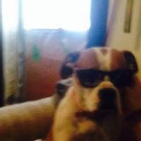 Profile Picture of Jacob Sowers (@jacob6975) on Pinterest