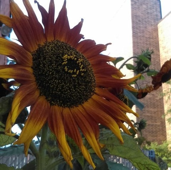 Profile Picture of Josh Larson (@ztalic69) on Poshmark