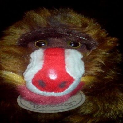 Profile Picture of Adam Rak (@TheRakster) on Twitter