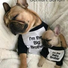 Profile Picture of sebastian (@sebastianconner8) on Tiktok