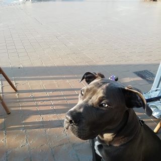 Profile Picture of Cindy Stevens (@cindy.stevens.9843499) on Facebook