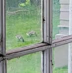 Profile Picture of Ariel Linda (@ariel.linda.848771) on Facebook