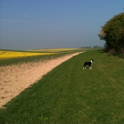 Profile Picture of Clare Foster (@Claremfoster) on Twitter