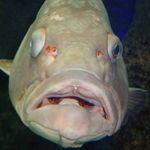 Profile Picture of Radosław Morawski (@morawski.radoslaw) on Instagram