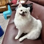 Profile Picture of 陳柏旭 (@陳柏旭) on Facebook