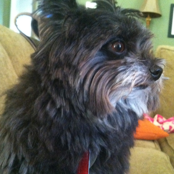 Alexa Ringley - Poshmark Profile Picture of Alexa Ringley (@agr29) on Poshmark