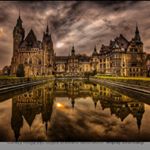 Profile Picture of danielnalepaofficial (@danielnalepaofficial) on Instagram