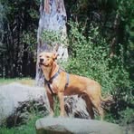 Profile Picture of Jim Kramer (@jim.kramer.245976) on Facebook