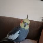 Profile Picture of Debbie Tippy (@debbie.tippy.378) on Facebook