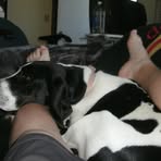 Profile Picture of Steven Clendaniel (@steven.clendaniel.1) on Facebook