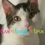 Profile Picture of Bonnie- Rhoades Bennett (@bonnie__rhoades._bennett) on Instagram