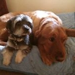 Profile Picture of Grace Duff (@grayed1) on Instagram