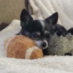 Profile Picture of Timothy Huffman (@timothy.huffman.71) on Instagram