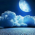 Profile Picture of Sandy Newton (@sandy.newton.564) on Instagram