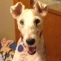 Profile Picture of Ann Hillebrecht (@ann-hillebrecht) on Quora