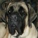 Profile Picture of Allison Hixson (@hixson705) on Pinterest