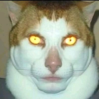 Profile Picture of Lucretia (@ptrrafeeq) on Twitter