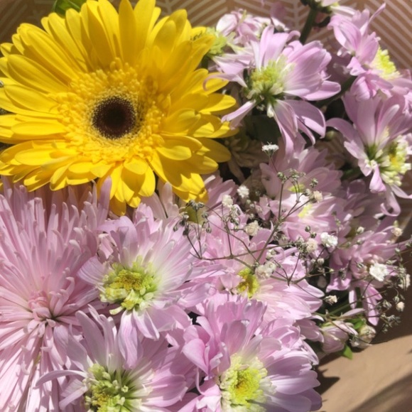 Profile Picture of Willow Retzlaff (@kellieretzlaff) on Poshmark