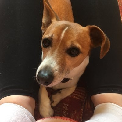 Profile Picture of Gary Chaplin (@garychaplin) on Twitter