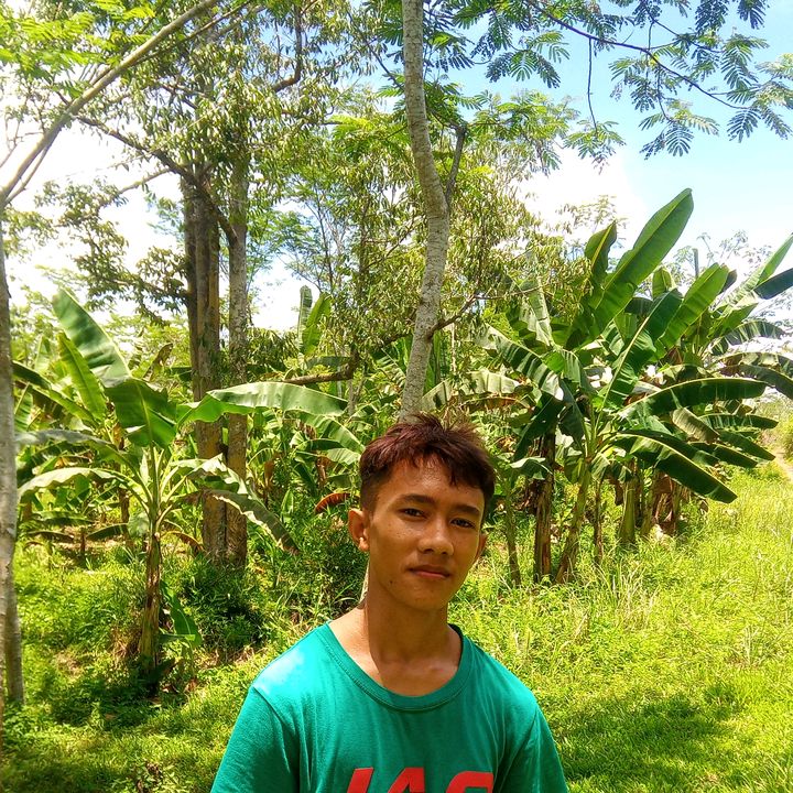 Profile Picture of Devin senadero (@user11627271758) on Tiktok